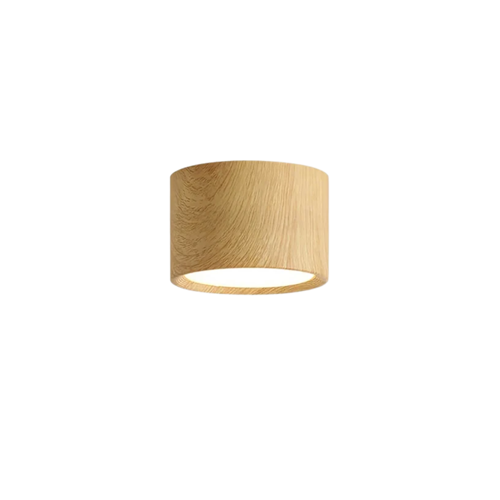 Cylindrisk LED Takspotlight För Inomhusbruk