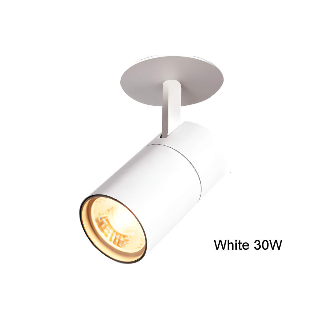 CylindraBright Spotlights - Svarta och Vita LED-inbyggda taklampor