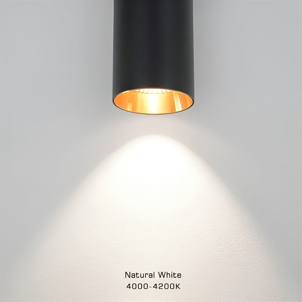 Dubbelt Huvud Vägglampa - Gold Sconce - Cylinder Vägglampa