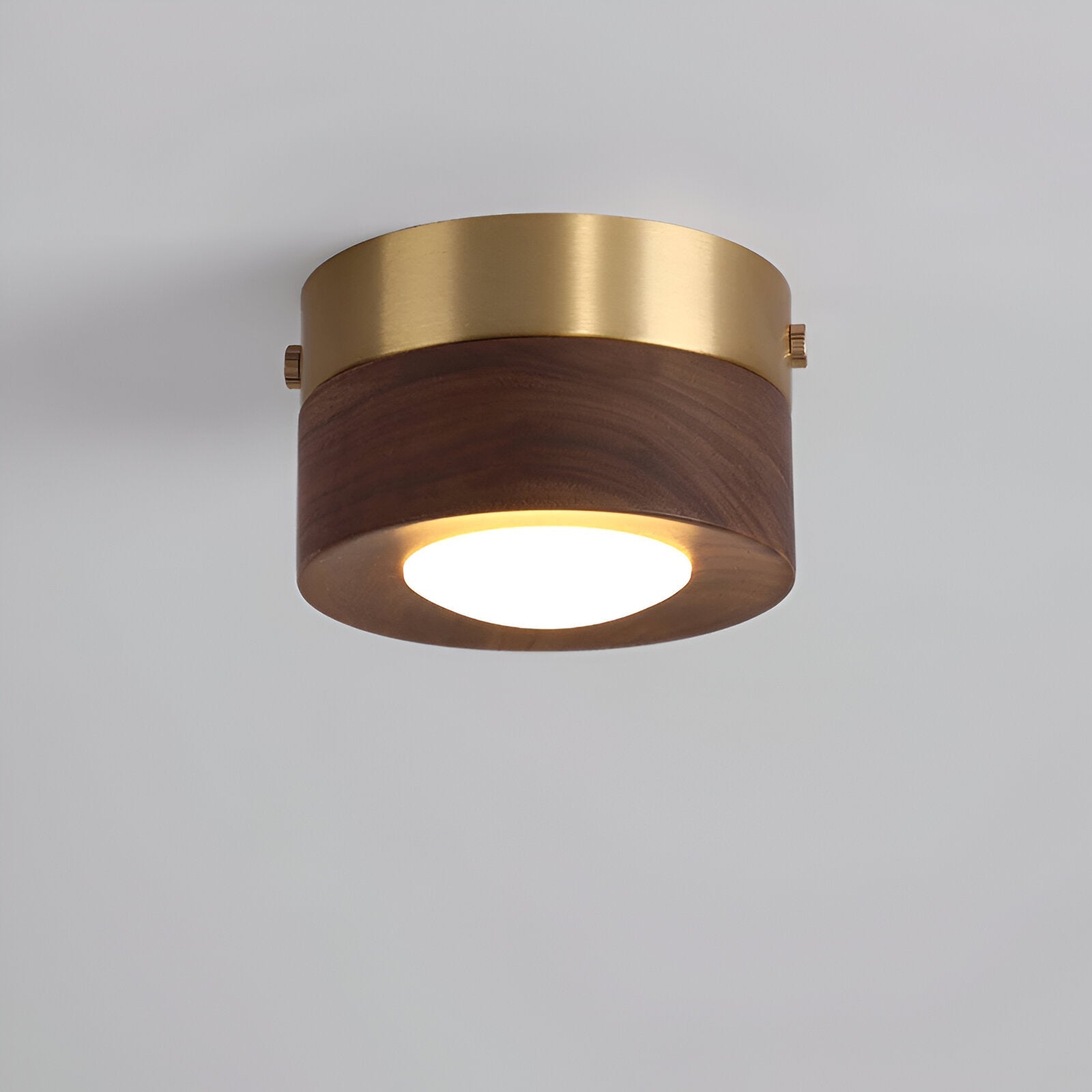 WoodSpot Taklampa - Valnöt Spotlights - LED Runda Taklampa