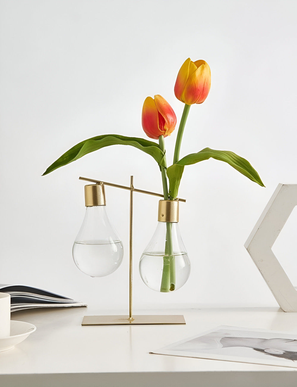 Stilren Förökningsvas för Hemmet och Kontoret - Elegant Design för Tillväxt av Enstaka och Dubbla Växter