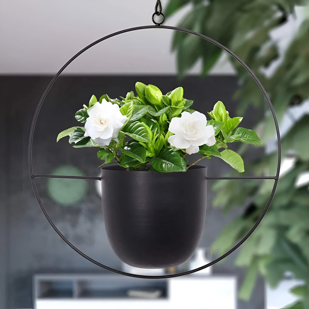Stilren Minimalistisk Hängande Blomkruka för Modern Inredning