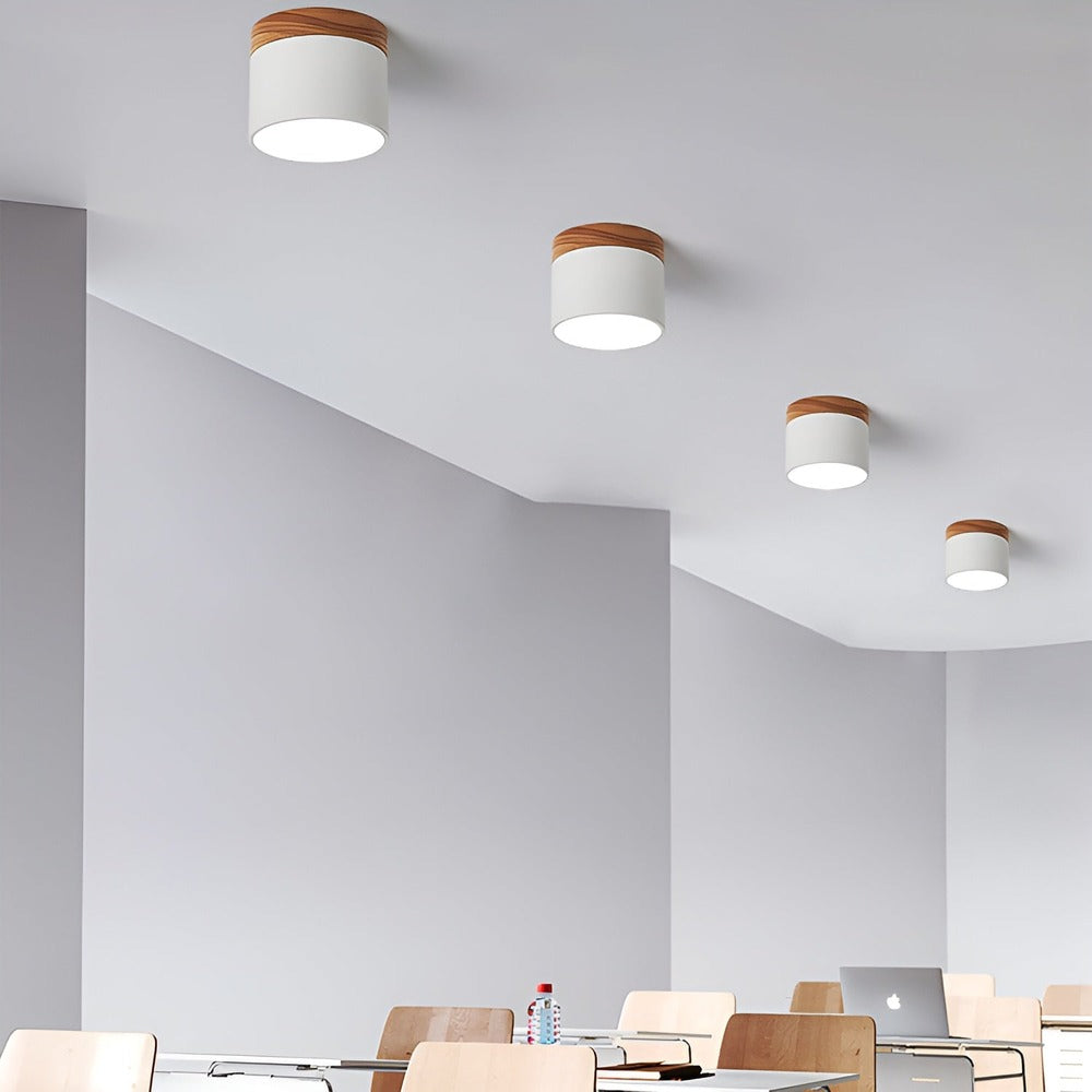 PastelGlow Cylinderlampa - Vintage Flush Mount Taklampa