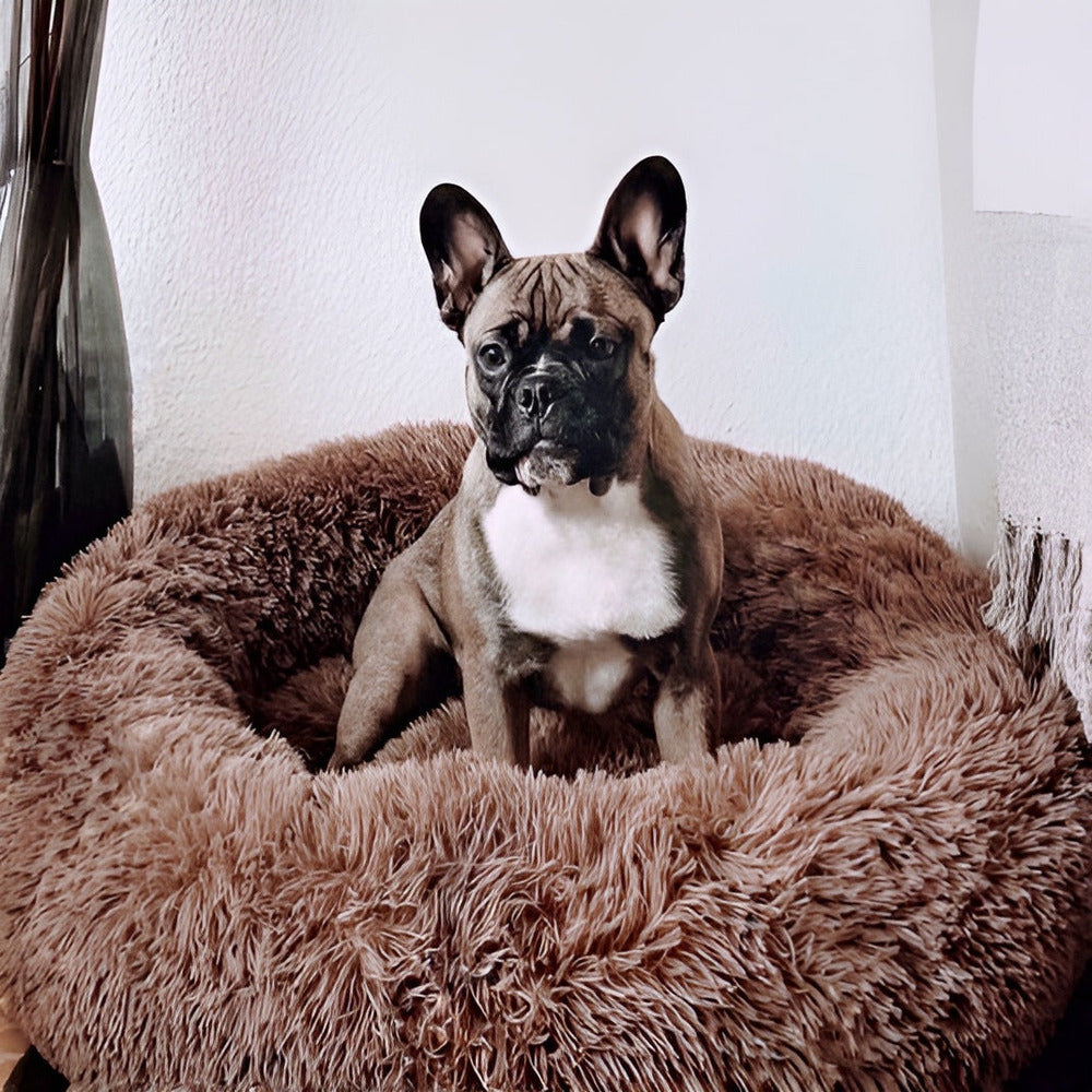 Paws Bed - Ultra Weiches und Bequemes Donut Cuddler Hundebett für Ihren Pelzigen Freund