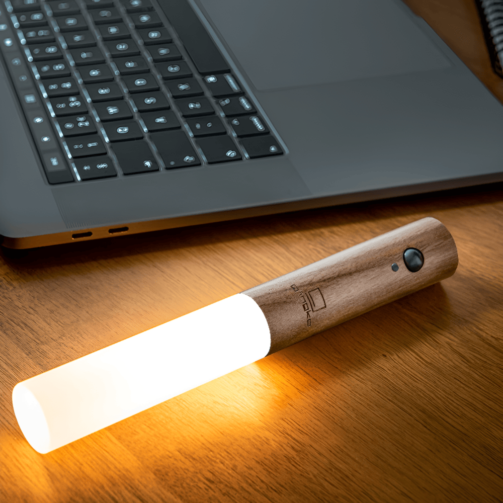 EcoTorch WallLight - Vägglampa med Magnetisk Rörelsesensor