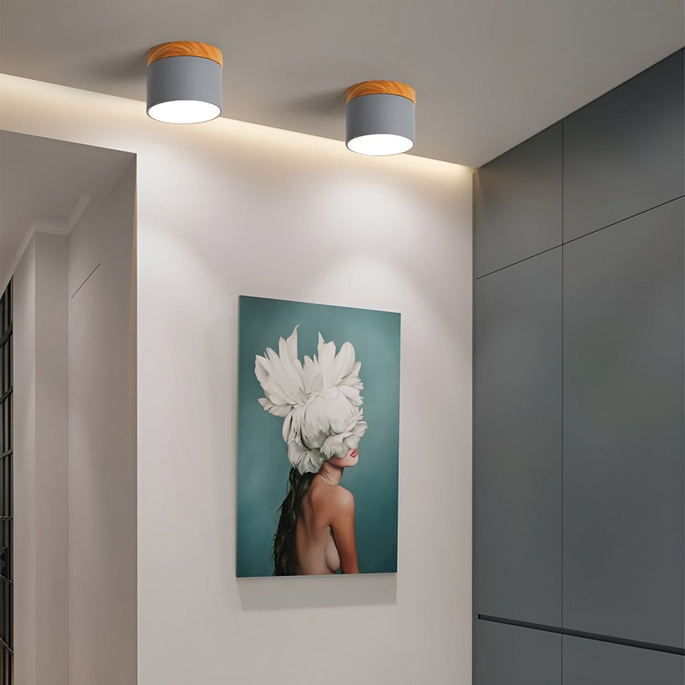 PastelGlow Cylinderlampa - Vintage Flush Mount Taklampa