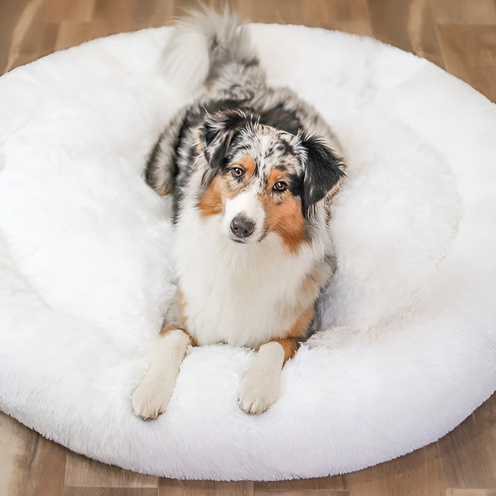 Paws Bed - Ultra Weiches und Bequemes Donut Cuddler Hundebett für Ihren Pelzigen Freund