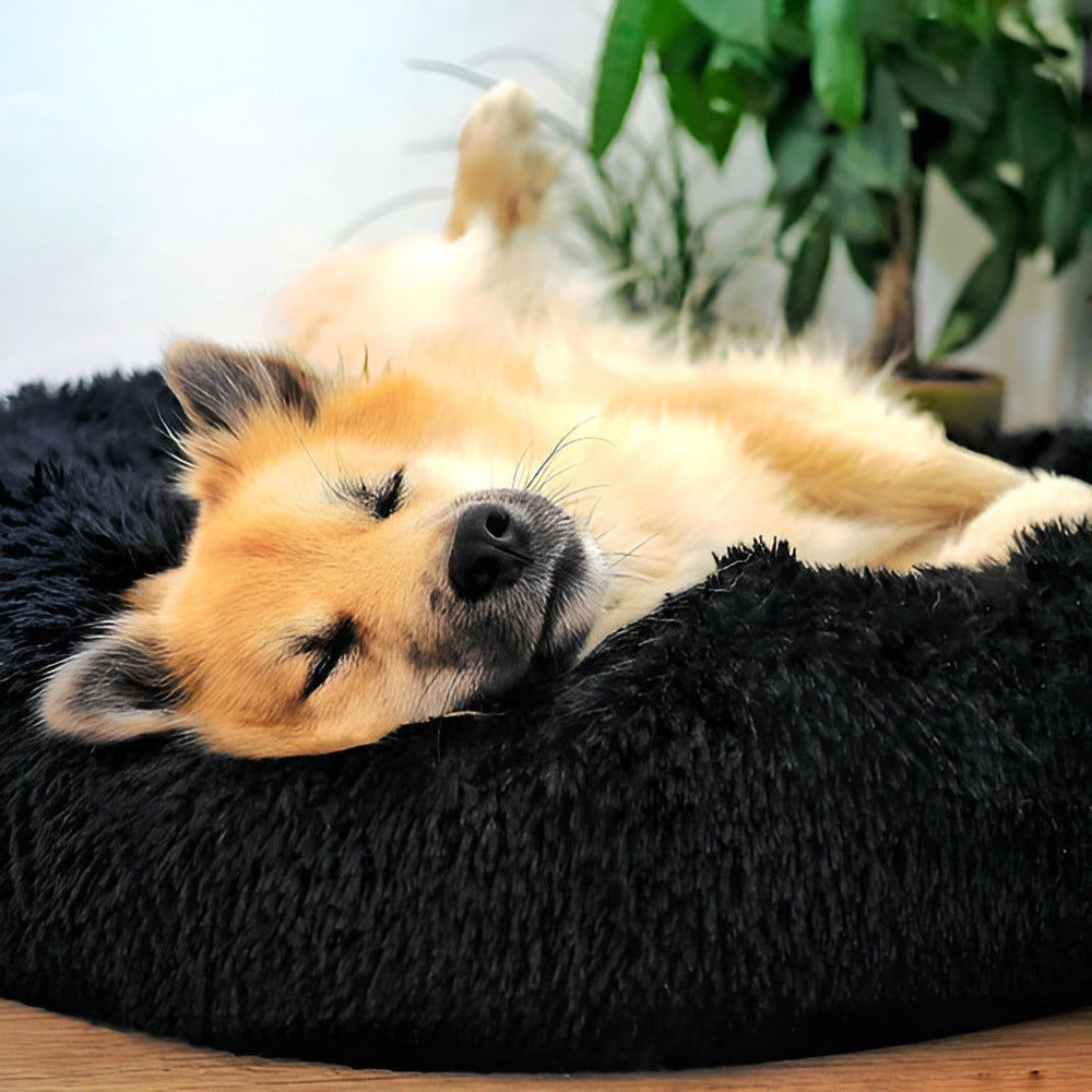 Paws Bed - Ultra Weiches und Bequemes Donut Cuddler Hundebett für Ihren Pelzigen Freund